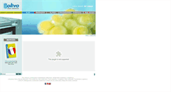 Desktop Screenshot of es.olivo-logistics.com